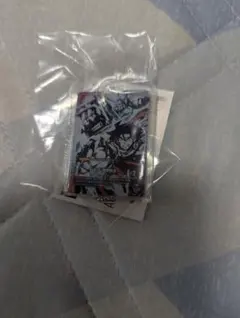 ガンダムカードゲーム アクリルチャームコレクション ドモン・カッシュ
