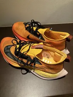 Item thumbnail for item 93671cd9-92e3-4e1b-bed8-9638804064a0