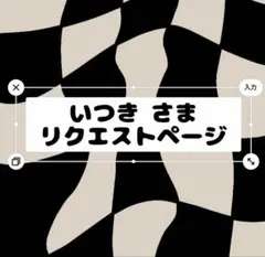 いつき様 リクエスト 2点 まとめ商品