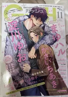 GUSH ガッシュ2026年11月号※全サ切り取り済み
