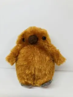 【訳あり】ペンギンアイランド パレード ぬいぐるみ きんぐぼっちゃん