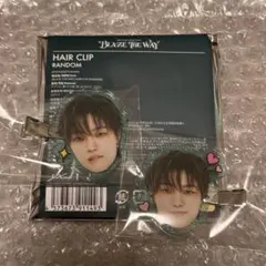 &TEAM EJ ヘアクリップ2個セット
