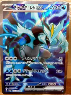 ブラックキュレムex SR 強化拡張 楽園ドラゴーナ 077/064＋おまけ4枚