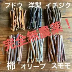 完全無農薬のかじり木　6種セット