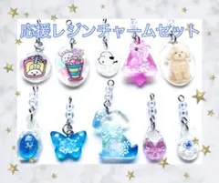 レジンチャーム 応援セッ10こ No05 花 雪 イヌ クマ 鳥 リボン 夢かわ
