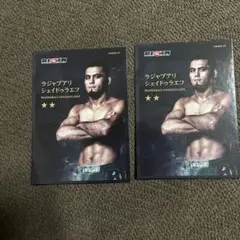 RIZINカードラジャプアリ シェイドゥラエフ 非売品　極美品