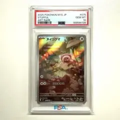 ヌイコグマ AR PSA10 - メルカリ