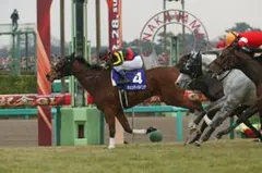 リッシンマジックとチーザイパワー トレーディングハガキ