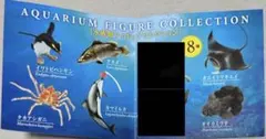 NIGHT AQUA MUSEUM フィギュア 8種セット 海洋堂 希少)NIGHT AQUA MUSEUM フィギュア 8種セット 海洋堂 - メルカリ