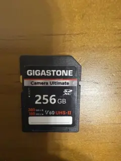 GIGASTONE 256GB SDカード UHS-II R280 W180