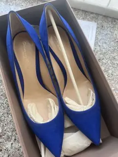 2026年最新】Gianvito Rossi カラー：ブルー系 レディース ハイヒール