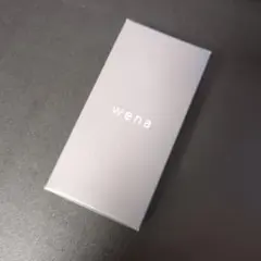 新品 wena wrist pro 20mm エンドピース 黒