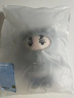 SEVENTEEN MINITEEN The8 THEpaleeぬいぐるみ - メルカリ
