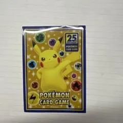 限定商品　ピカチュウスリーブ