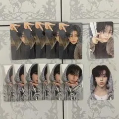 ALD1 シンロン XINLONG トレカ 13枚セット