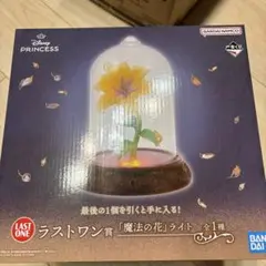 一番くじ　ディズニープリンセス 　ラストワン　おまけつき