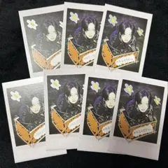 &TEAM FUMA Back to Life トレカ 7枚