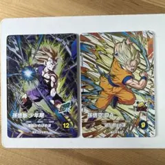 ドラゴンボールZ カードダス 本弾 13 14 2枚セット - メルカリ