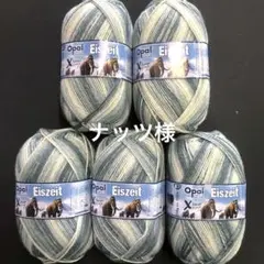 ナッツ様　NEW オパール毛糸　アイスエイジ　8本撚り　150g 5玉