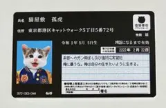 大ヤンキー展　なめ猫　コラボ　マイナンバー 昭和　ねこ 猫 マイニャンバーカードのサムネイル