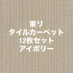 東リ 吸着タイルカーペット ニューピタコ アイボリー NP401 12枚セット