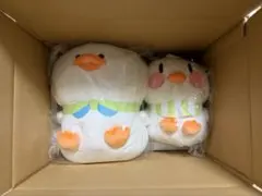 大空スバル　誕生日記念2025フルセット