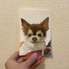 今週セール！！様 専用ページです。オーダー2枚