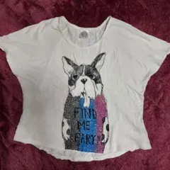 ScoLar　スカラー Tシャツ Mサイズのサムネイル
