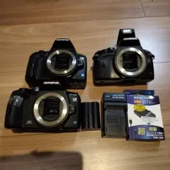 2025年最新】olympus E-620の人気アイテム - メルカリ