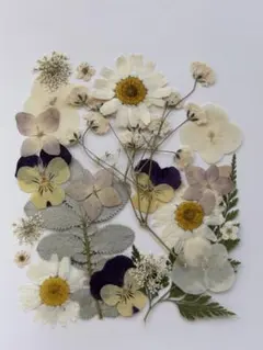 押し花素材パック　ホワイト系ミックス　21個入 No1096