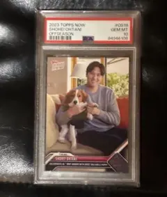 2025年最新】大谷翔平 カード topps psa10の人気アイテム - メルカリ