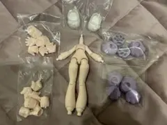 献给露娜 For Moon ルナに捧ぐ ボディ他