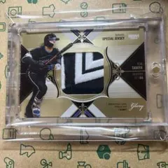 Item thumbnail for item af69d7d3-2884-43b0-afdd-7a71bf1172f1