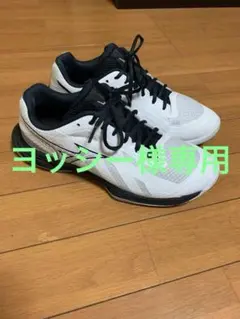 美品　MIZUNO バドミントンシューズ ウエーブファングEL 2 26.0のサムネイル