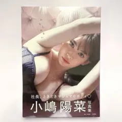 小嶋陽菜写真集 かもしれない　写真集　こじはる　小嶋陽菜　新品　未開封