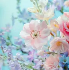 bokuboku様 リクエスト 2点 まとめ商品