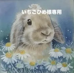 いちごひめ様専用