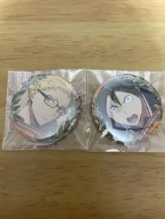 ハイキュー!!トレーディング缶バッジ〜烏野セレクション〜