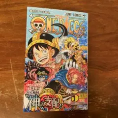 ONE PIECE 113