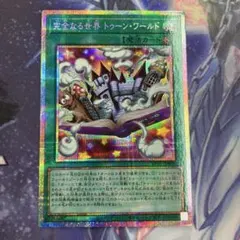 完全なる世界 トゥーン・ワールド プリシク 1枚 - メルカリ