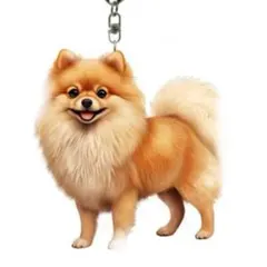 ポメラニアン 犬用品