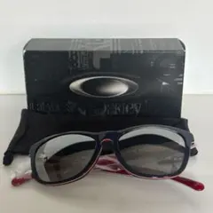 廃盤USA製 オークリー ハイジンクス クリスタルブルー Y2K 00s テック