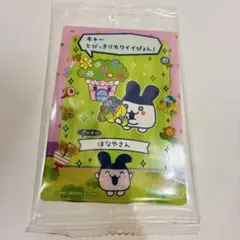 たまごっちのプチプチおみせっちしり〜ず カード＆フレーム　みみっち　はなやさん