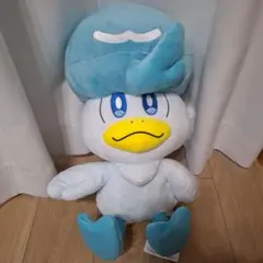 タグ付 ポケモンセンター 等身大クワッス ぬいぐるみ 41cm ポケモン