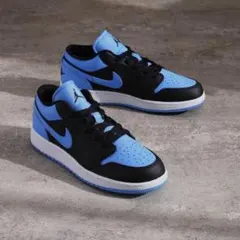 新品23.5 Nike GS Air Jordan 1 Lowユニバーシティブル