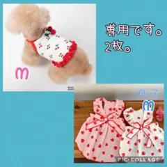 もこ様 リクエスト 2点 まとめ商品