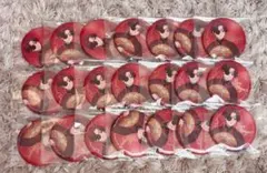 WIND BREAKER ウィンブレ 蘇枋隼飛 一番くじ