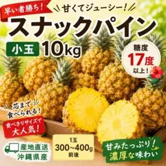 小玉だけど超甘い！スナックパイン小玉 10kg（26〜31玉）のサムネイル