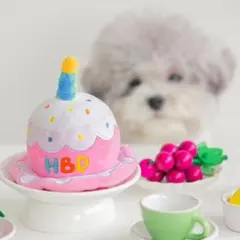 フェルト製ケーキ型ぼうしHBD 犬のサムネイル