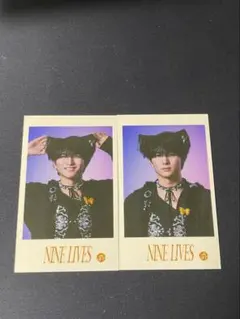 ハルNINE LIVES ミニフォト2枚セット